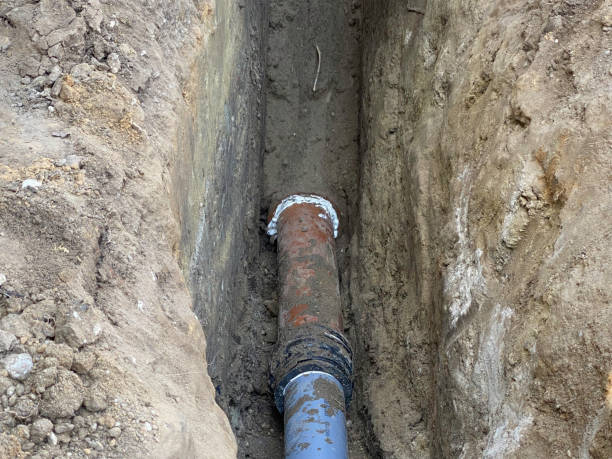 Best Flood damage cleanup  in Sunnyside Tahoe City, CA