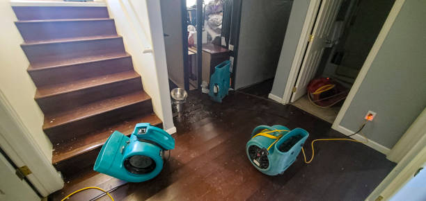 Best Basement water damage restoration  in Sunnyside Tahoe City, CA