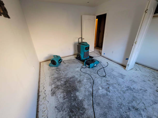 Best Professional water damage repair  in Sunnyside Tahoe City, CA