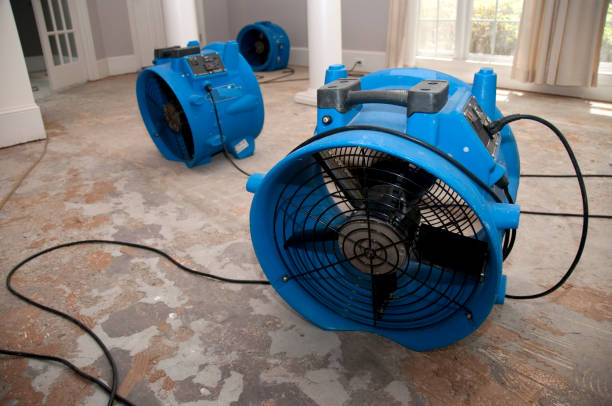 Best Ceiling water damage repair  in Sunnyside Tahoe City, CA