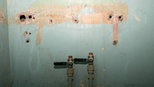 Best Local water damage restoration  in Sunnyside Tahoe City, CA